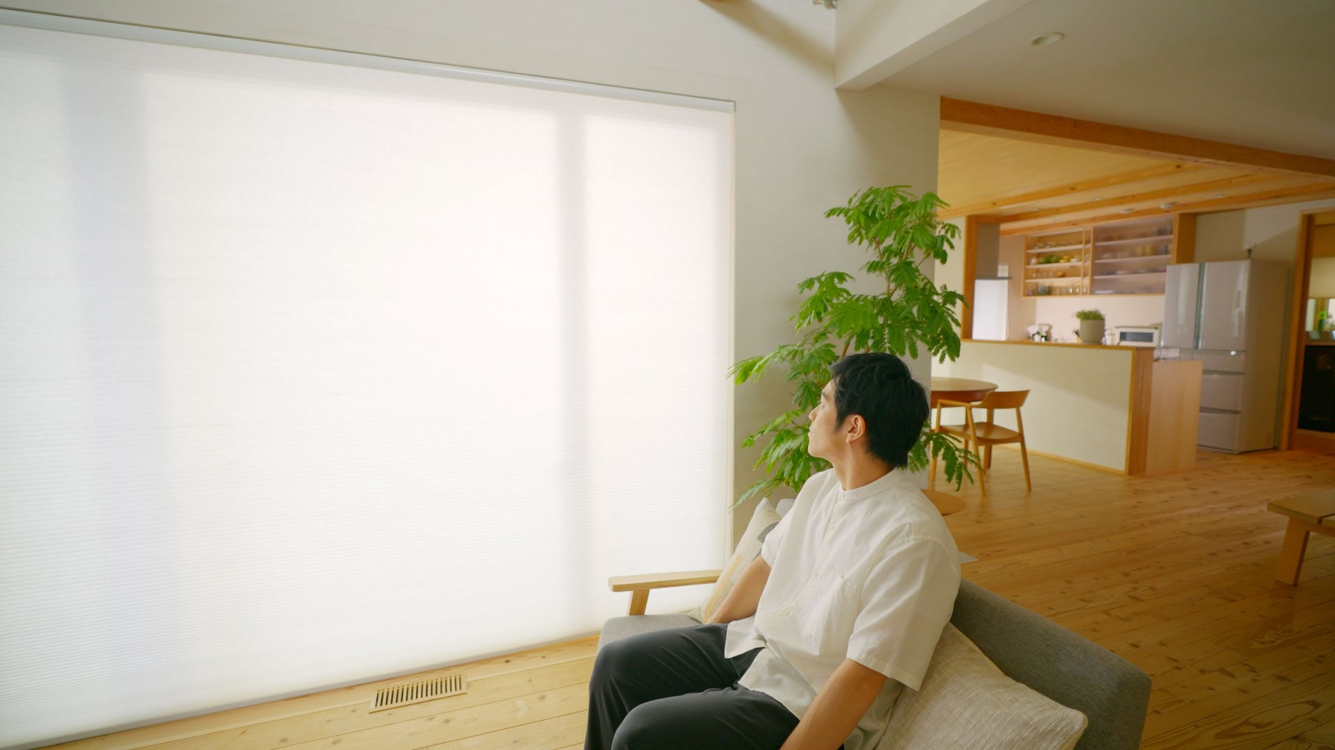 室内にやさしく広がる光
